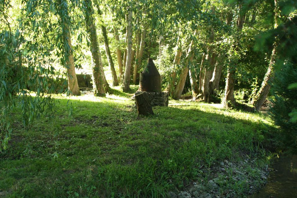 Le Petit Moulin Bed and Breakfast Faverelles Esterno foto