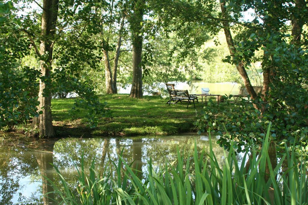 Le Petit Moulin Bed and Breakfast Faverelles Esterno foto