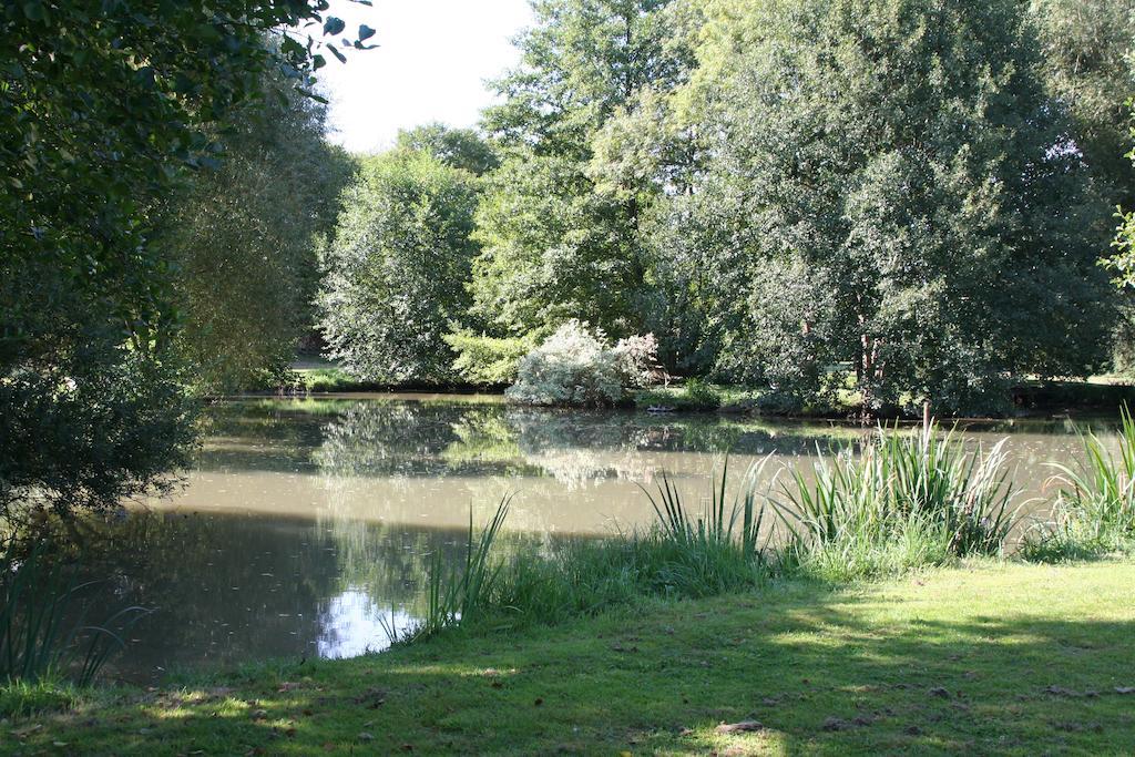 Le Petit Moulin Bed and Breakfast Faverelles Esterno foto